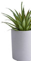 Kunstig plante agave H19 cm